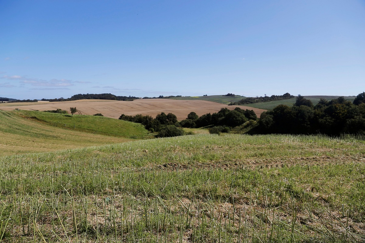 Landbrugsjord til naturområder