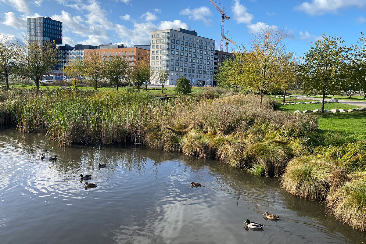 Huse Og Vand 12X8 IMG 6344