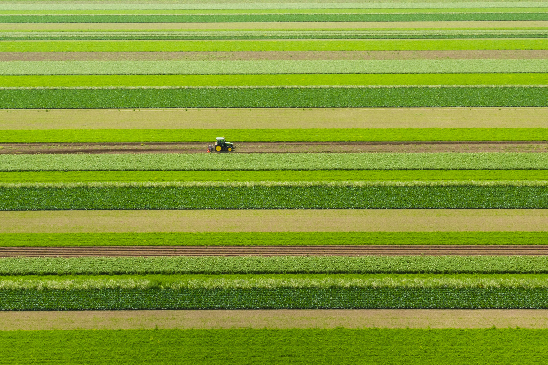 0 Stribedyrkning Foto ERF BV Hires