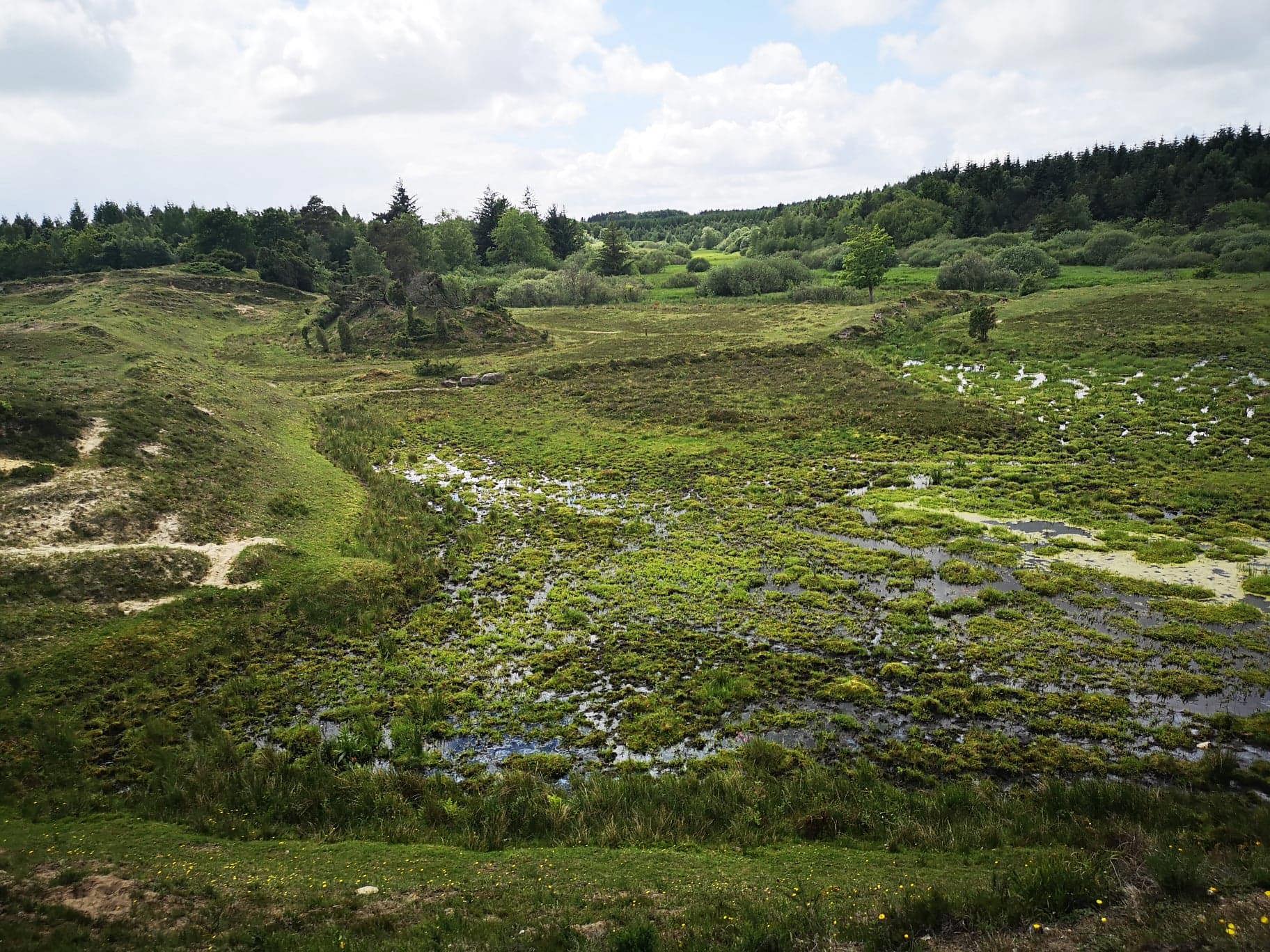 1 Viborg Kommune Biodiversitetsprojekt