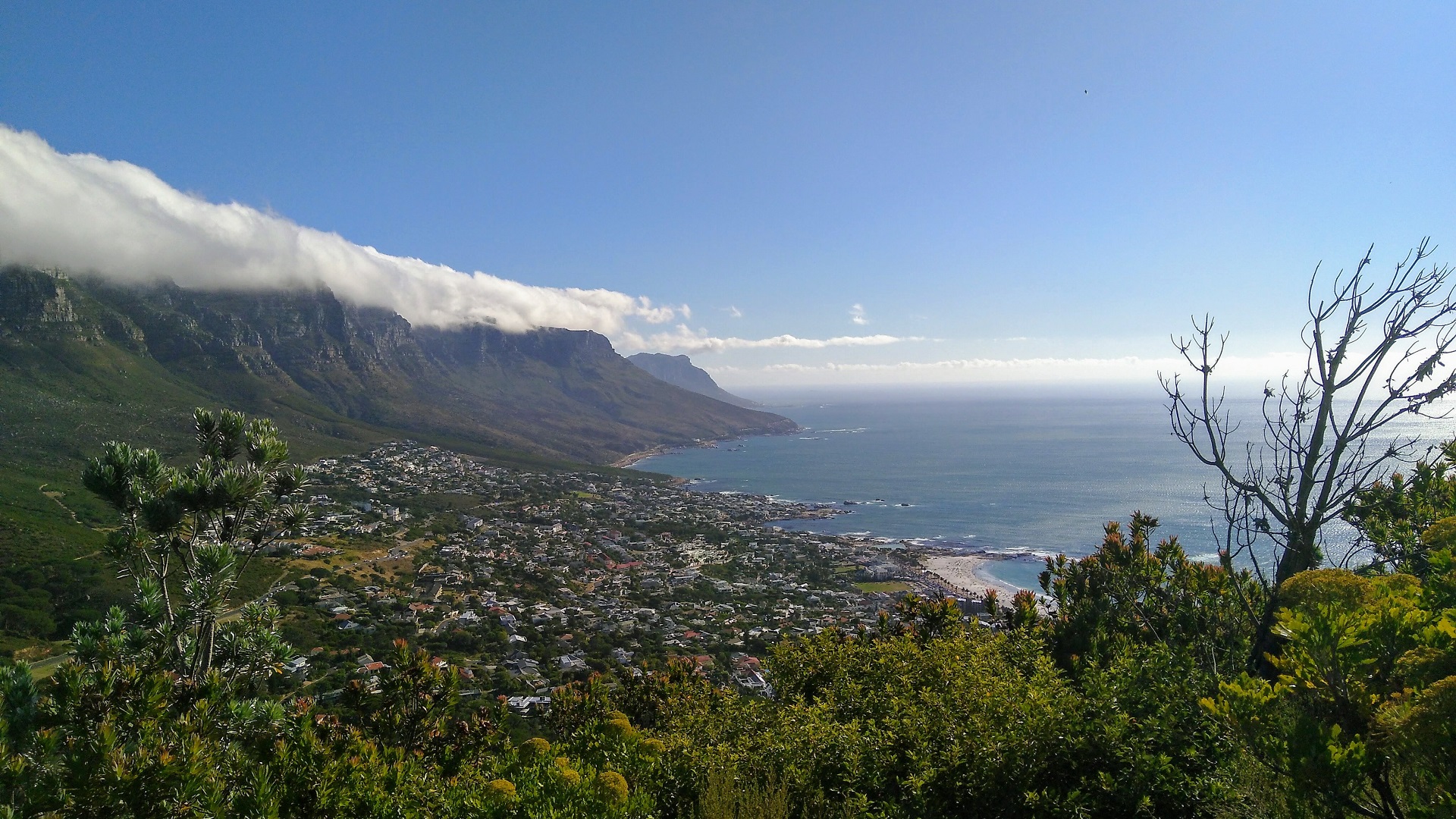 Rejsepulje Anne Vraa-Jensen 1 1920x1080.jpg