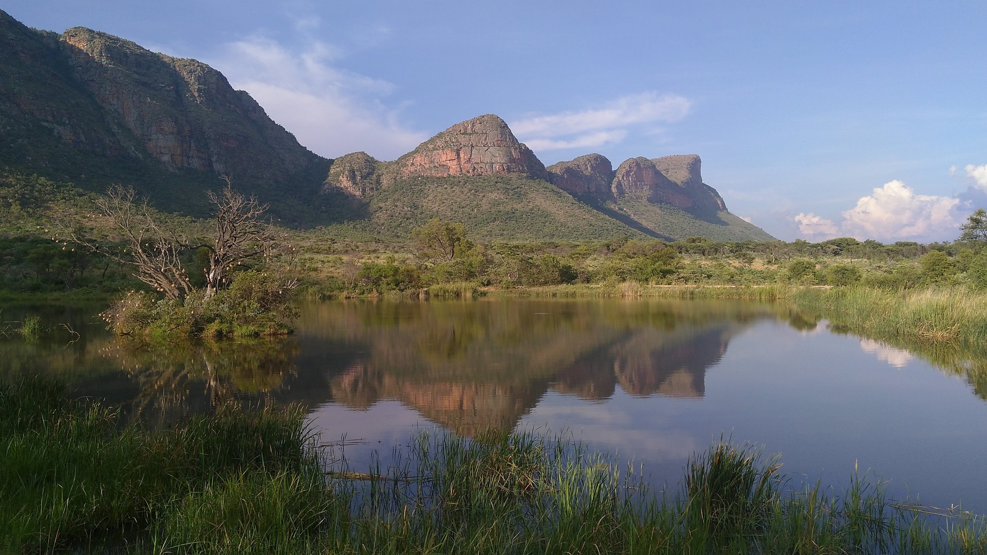 Rejsepulje Anne Vraa-Jensen 5 1920x1080.jpg