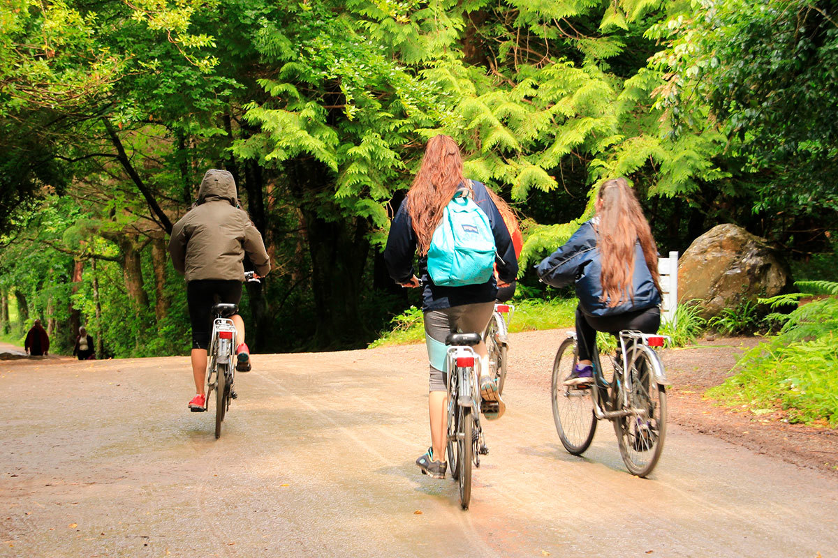 Unge, Cykeltur, Skov 12X8 COLOURBOX14499212