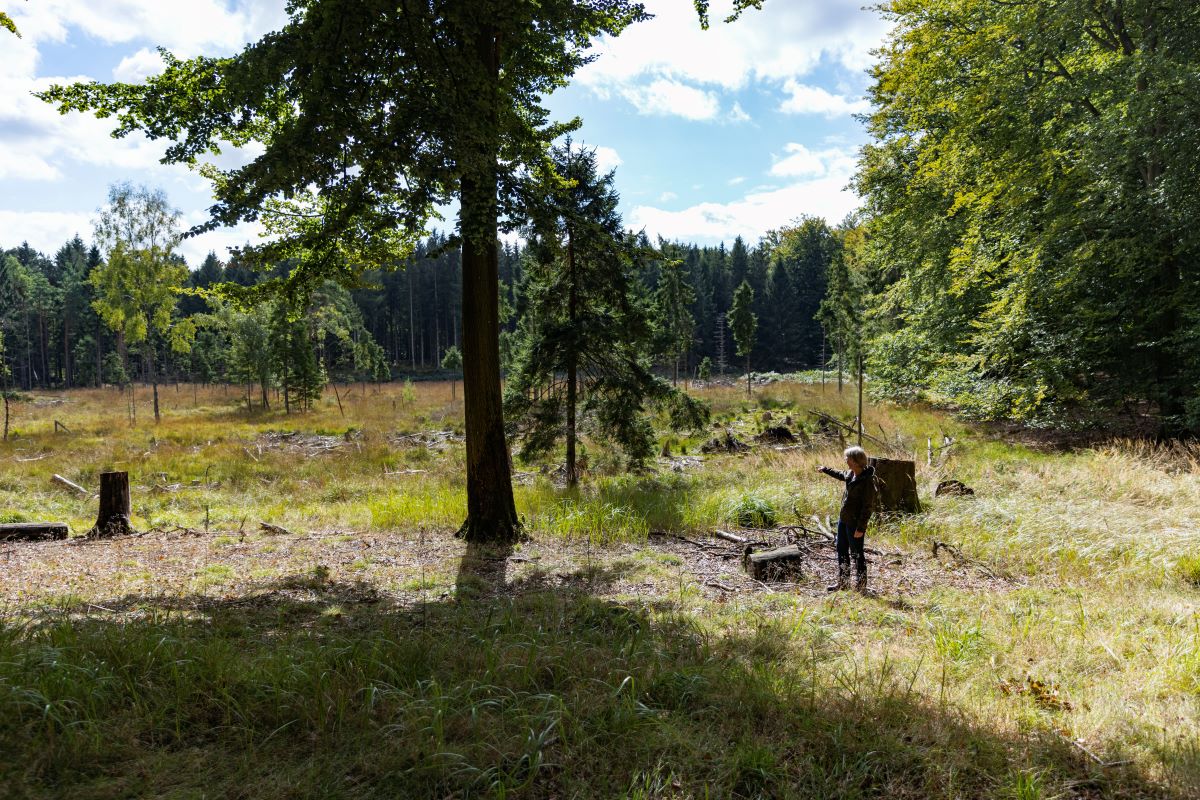 Kommende vådområde i Gribskov