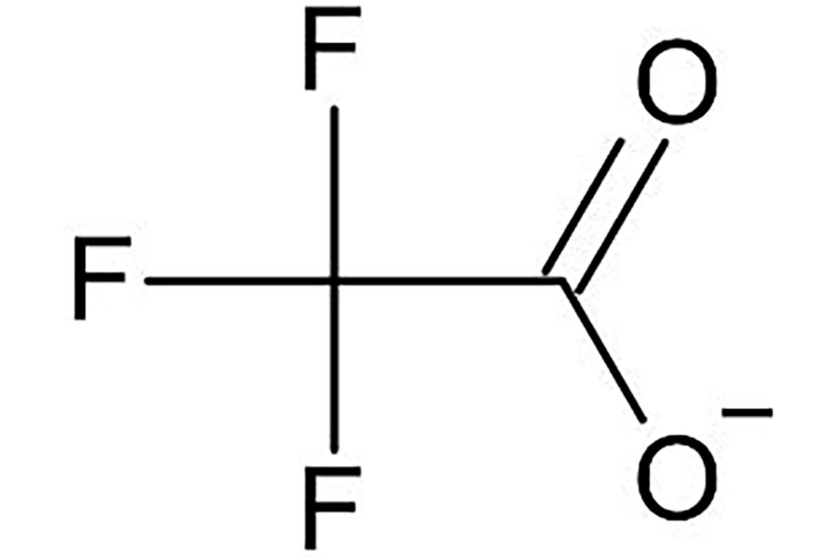Albrechtsen Fig1253 12X8