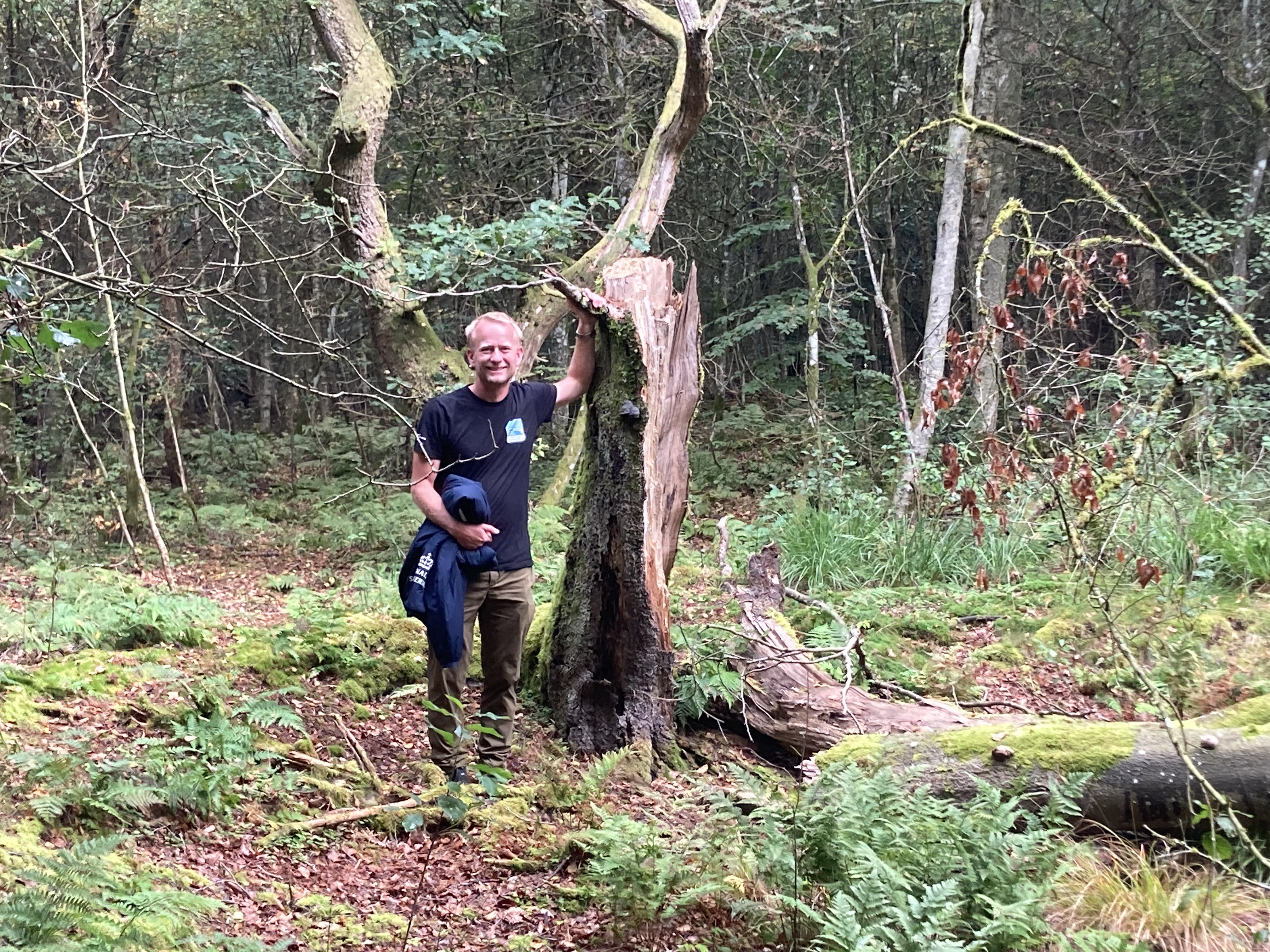 Mikkel Eeg, Lerbjerg Skov