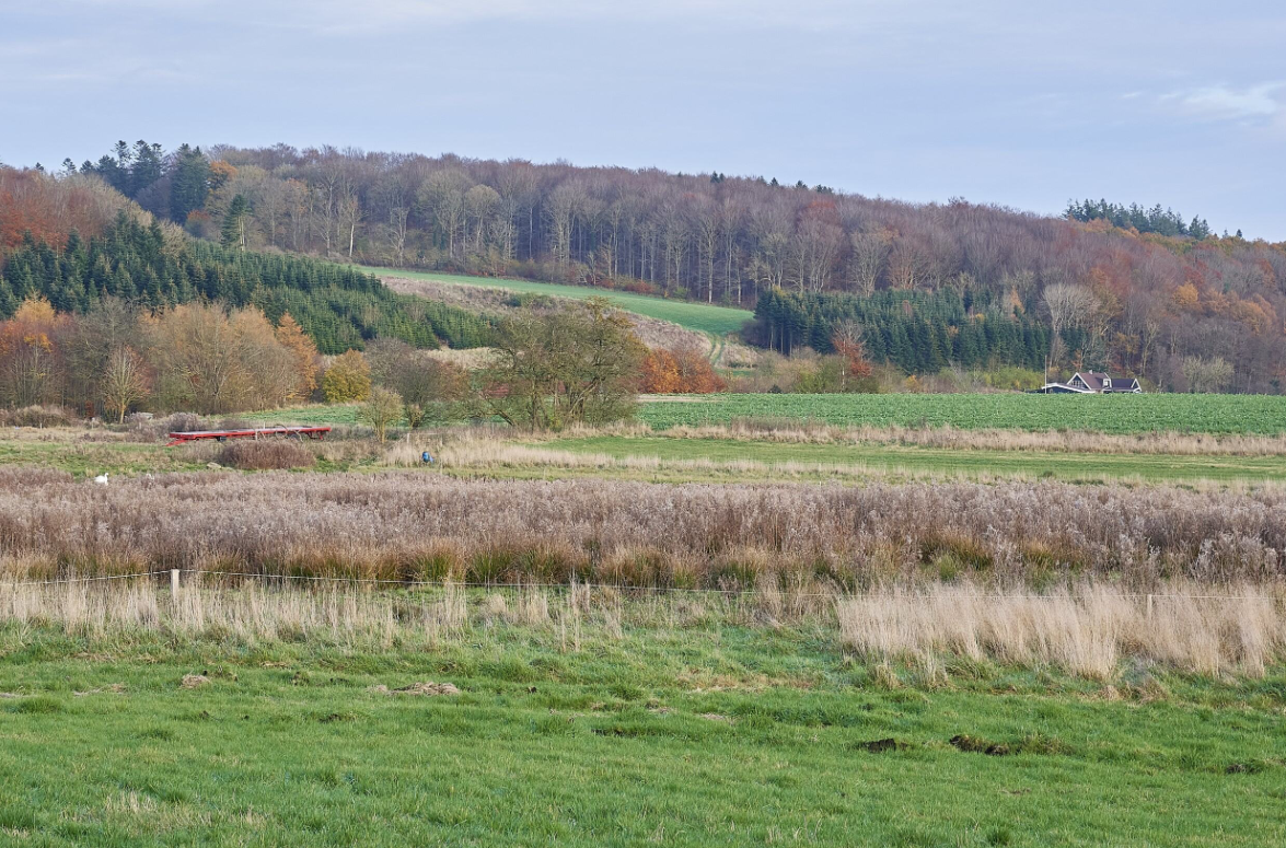 Udtagning af lavbundsjorder - landskab