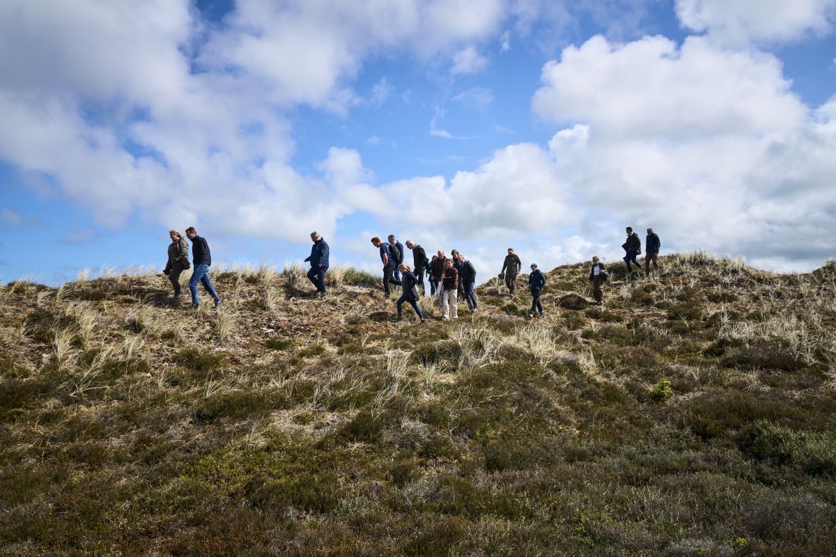 Fonde Ålvand Klithede WEB