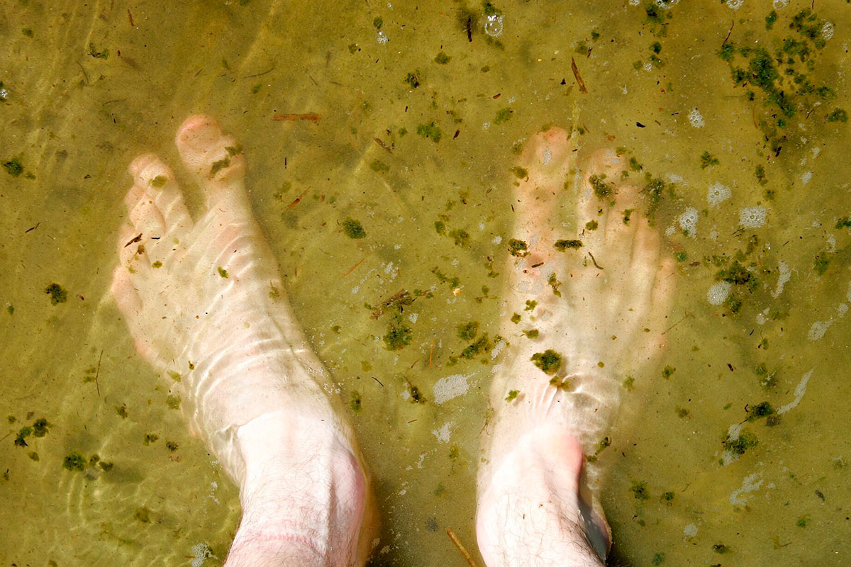 Algesuppe Casper Dalhoff Scanpix20060719 110554 Pf Socialmedia