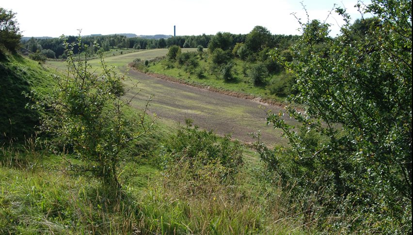 Varig udtagning af dyrkede marker i kiler mellem værdifulde naturarealer giver stor værdi for biodiversiteten.
