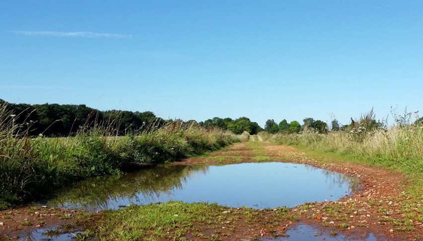 Grusveje er blot en af de mange anvendelser for den danske naturressource grus. Her ved Buresø på Sjælland er der i stedet brugt bl.a. nedknuste mursten.