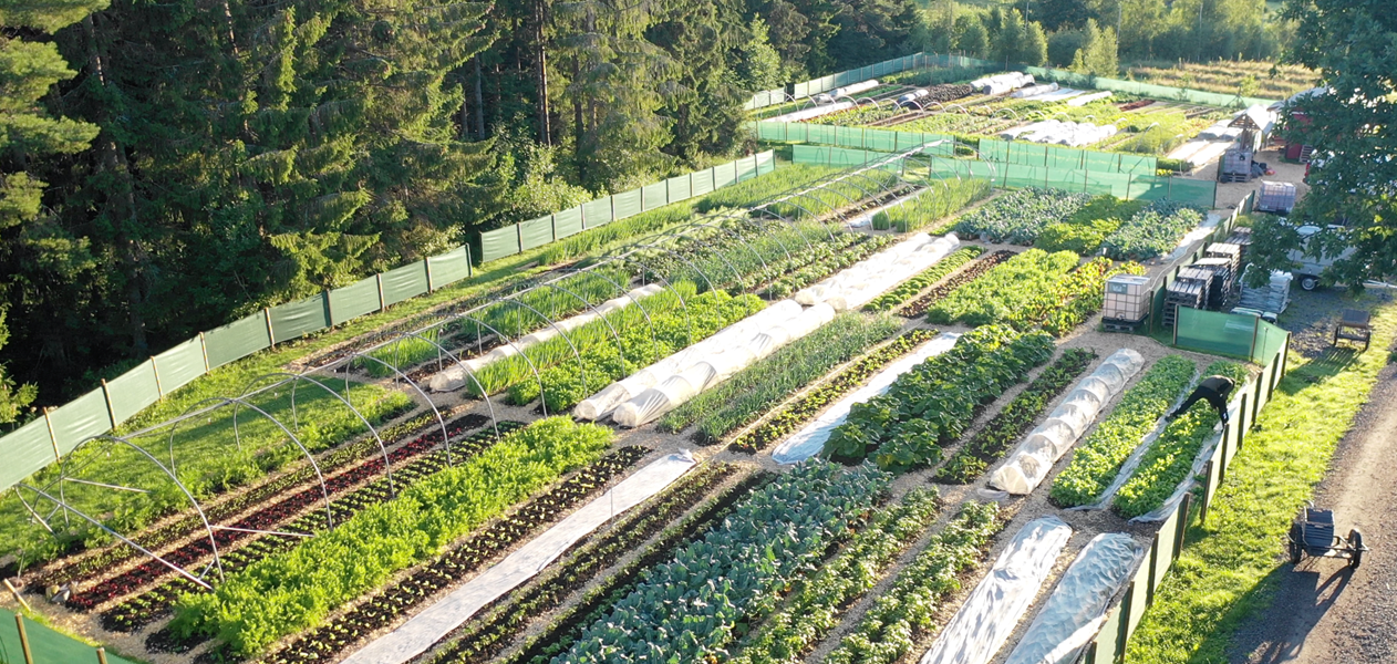 Regenerativt landbrug med alsidige produktionssystemer, Ridgedale Farm i Sverige.