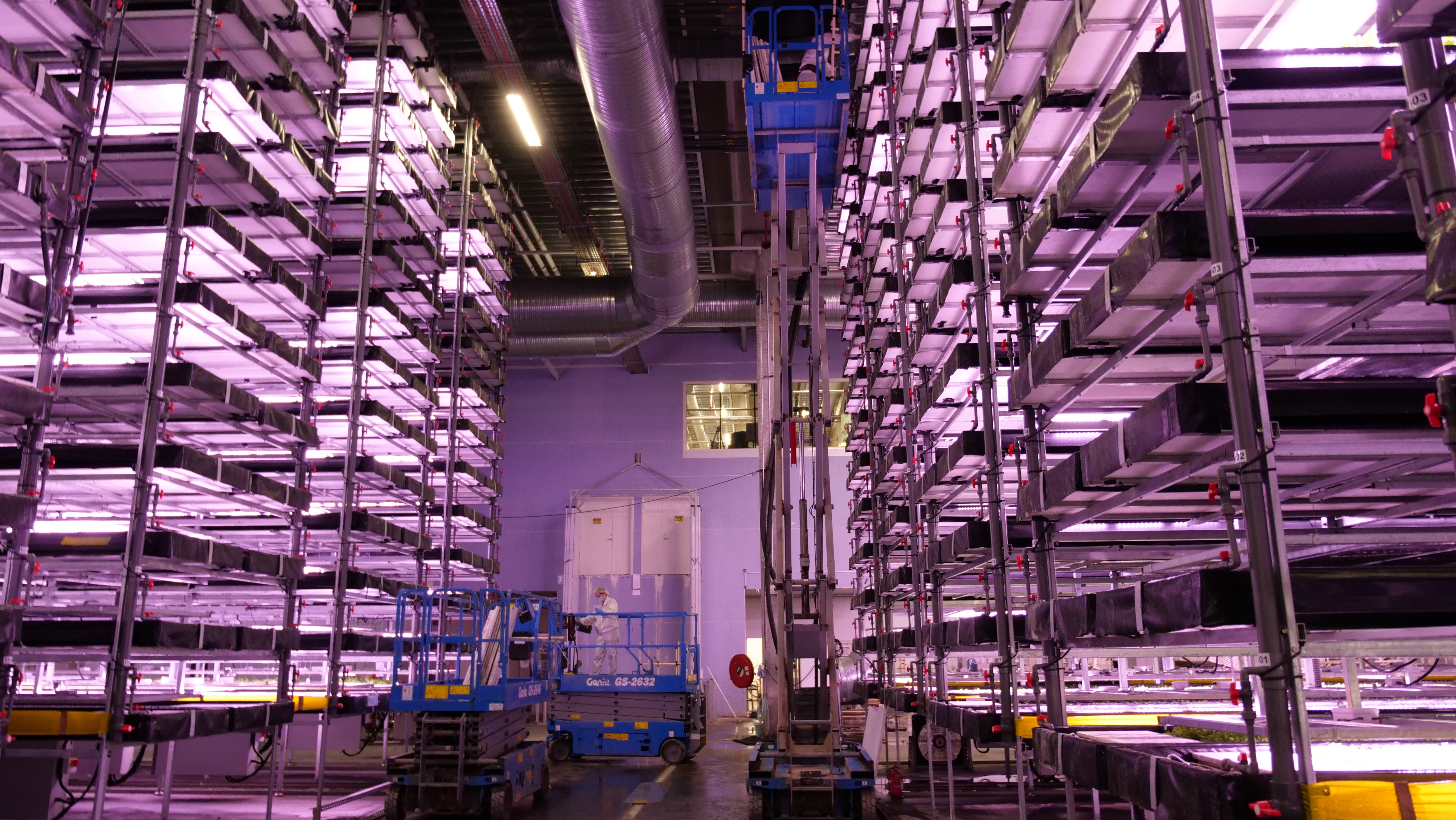 Vertikalt landbrug 2