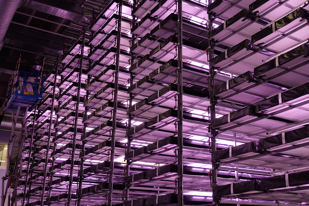 vertikalt landbrug klima led 