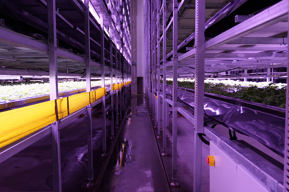 vertikalt landbrug taastrup klima led