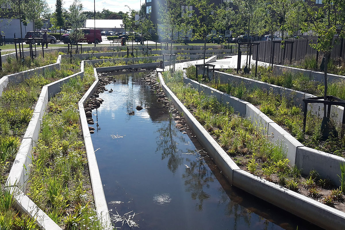 billund bæk regnvand flora fauna green cities