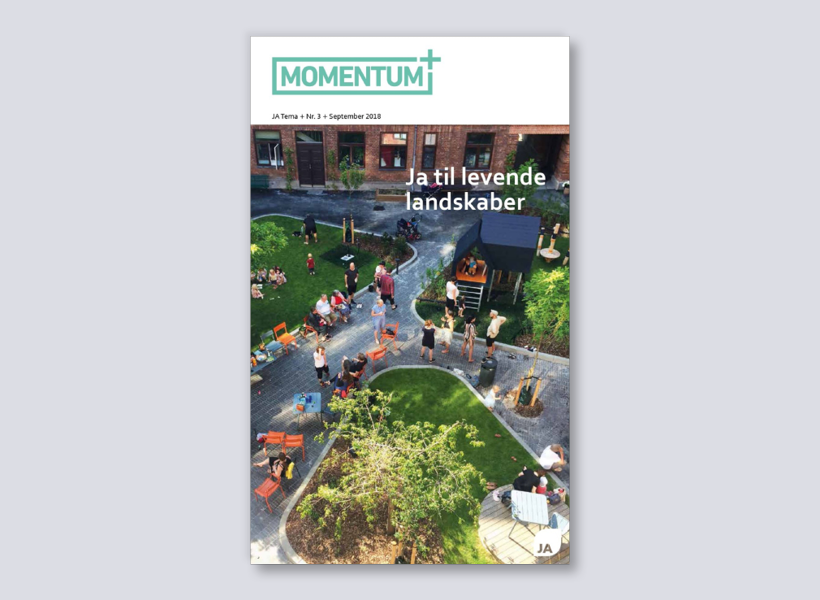 Momentum+ nr. 3 2018