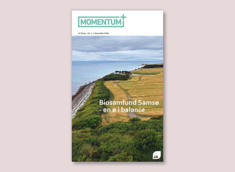 Momentum+ nr. 4 2018