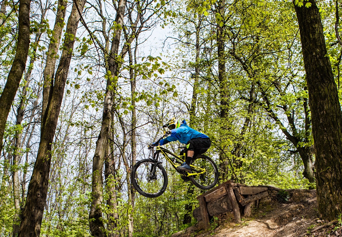 Mountainbiker i skov