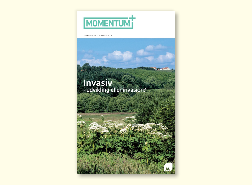 Momentum+ nr. 1 2019