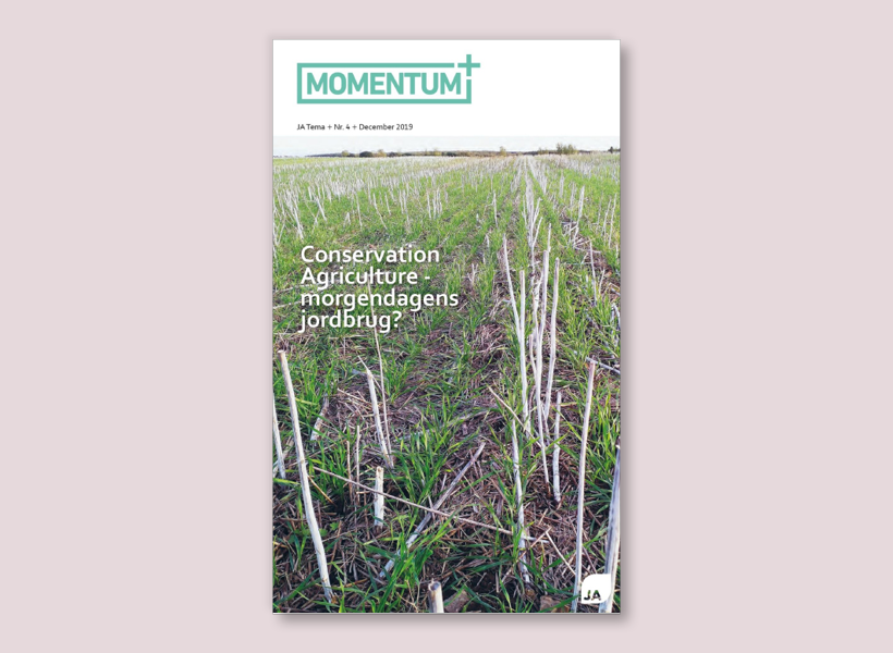 Momentum+ nr. 4 2019