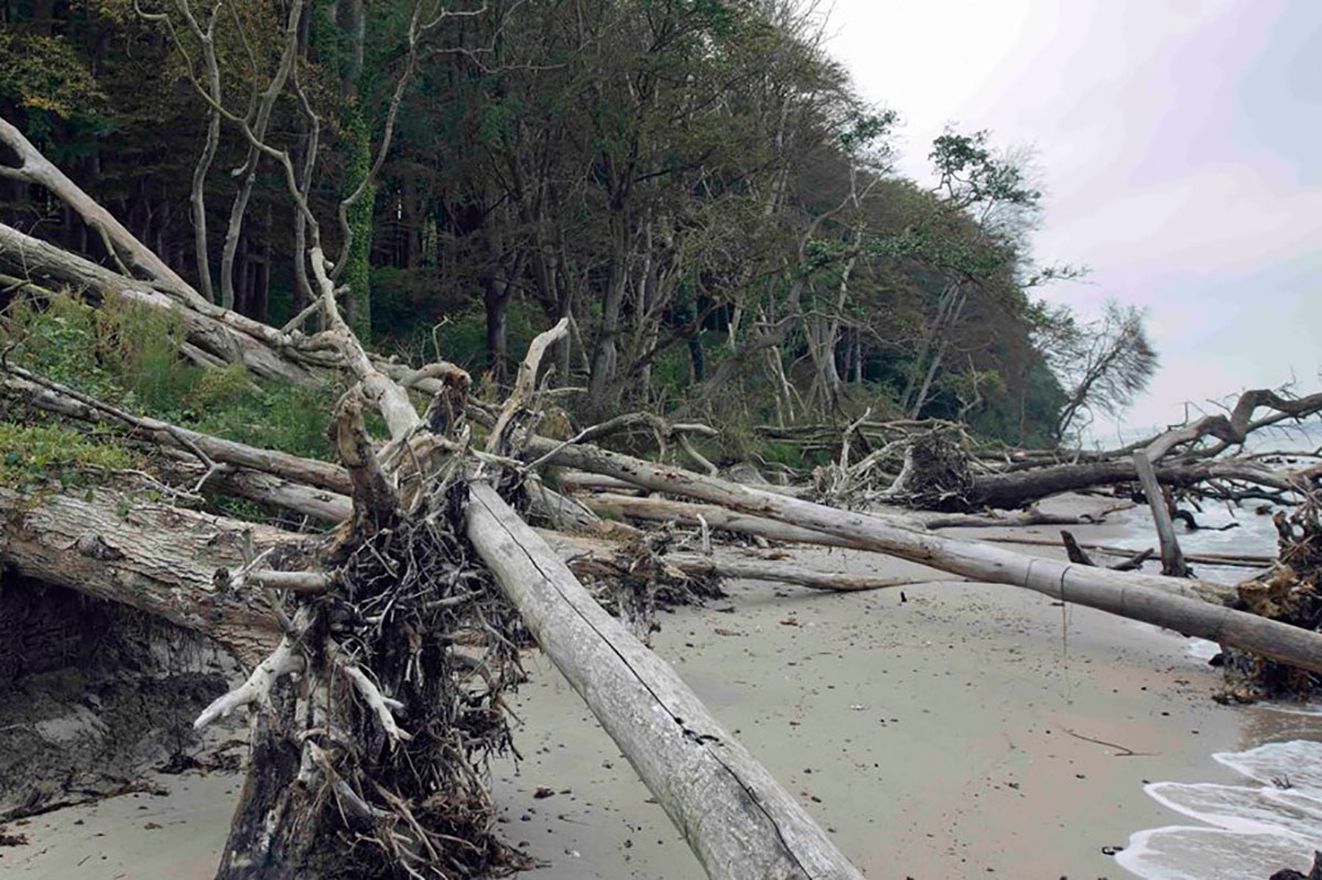 myter natur biodiversitet