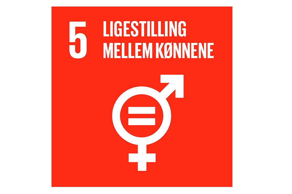 verdensmål 5 ligerstilling