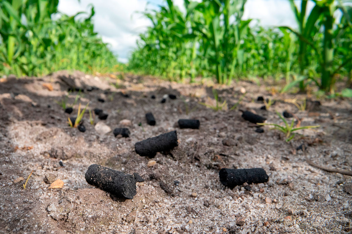 biokul biochar skyclean co2 stiesdal klima landbrug