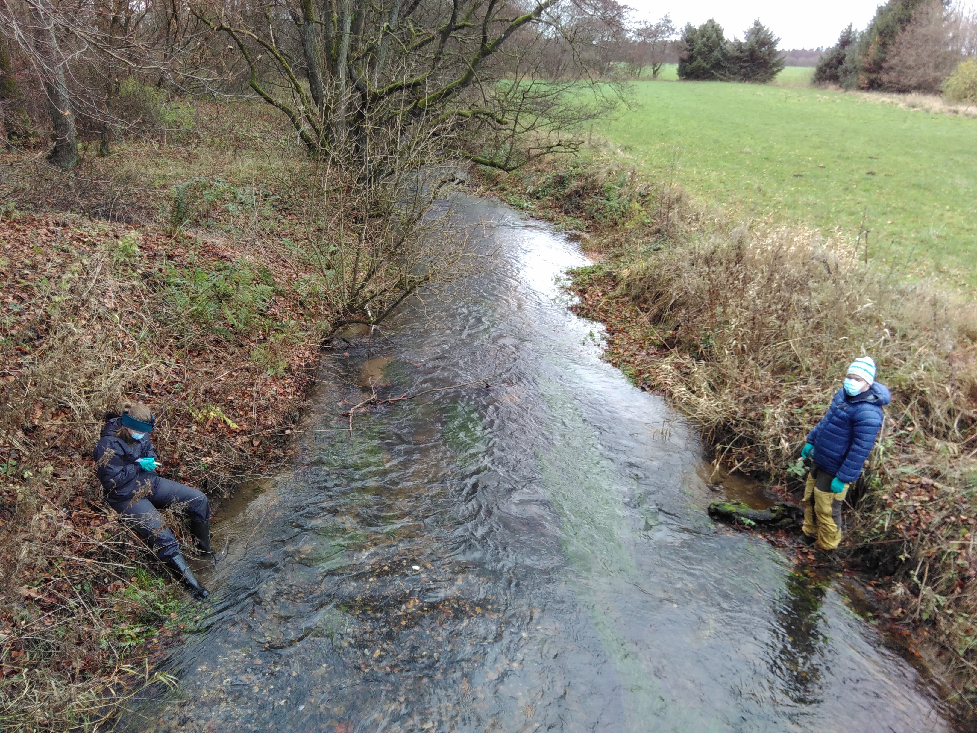 Mads Reinholdt Jensen indsamler prøver ved vandløb for at udforske miljø-DNA