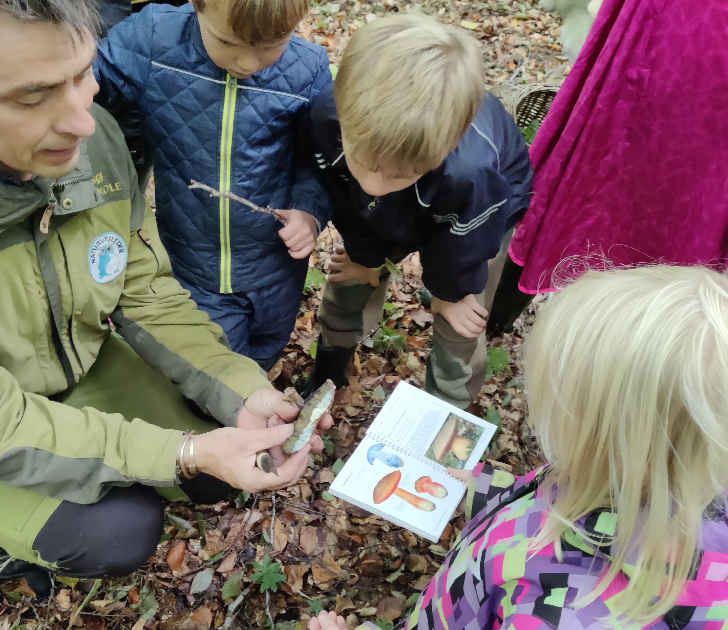 Børn lærer om svampe