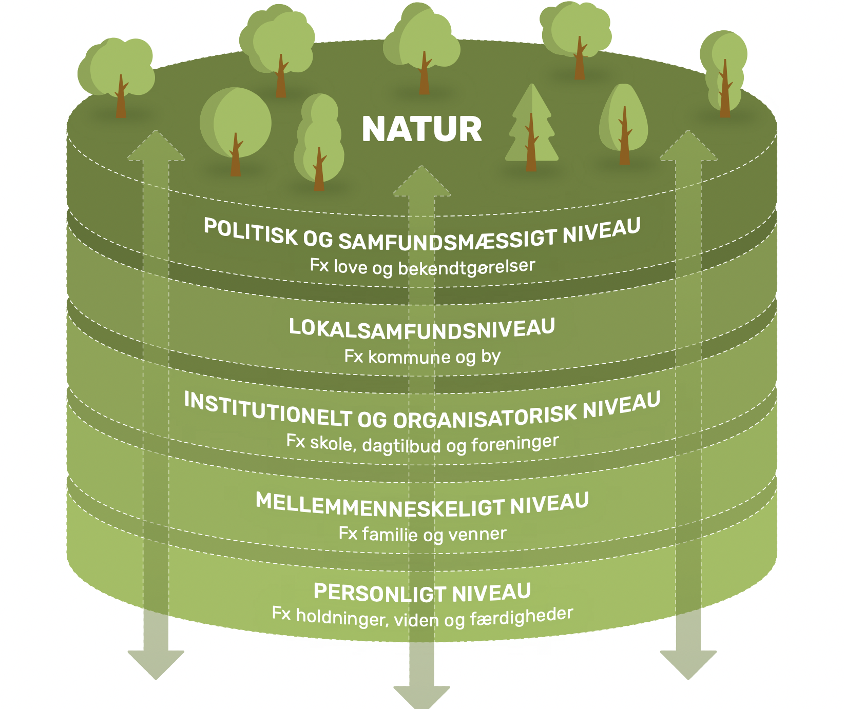 Naturdannelse i forskellige niveauer - grafik