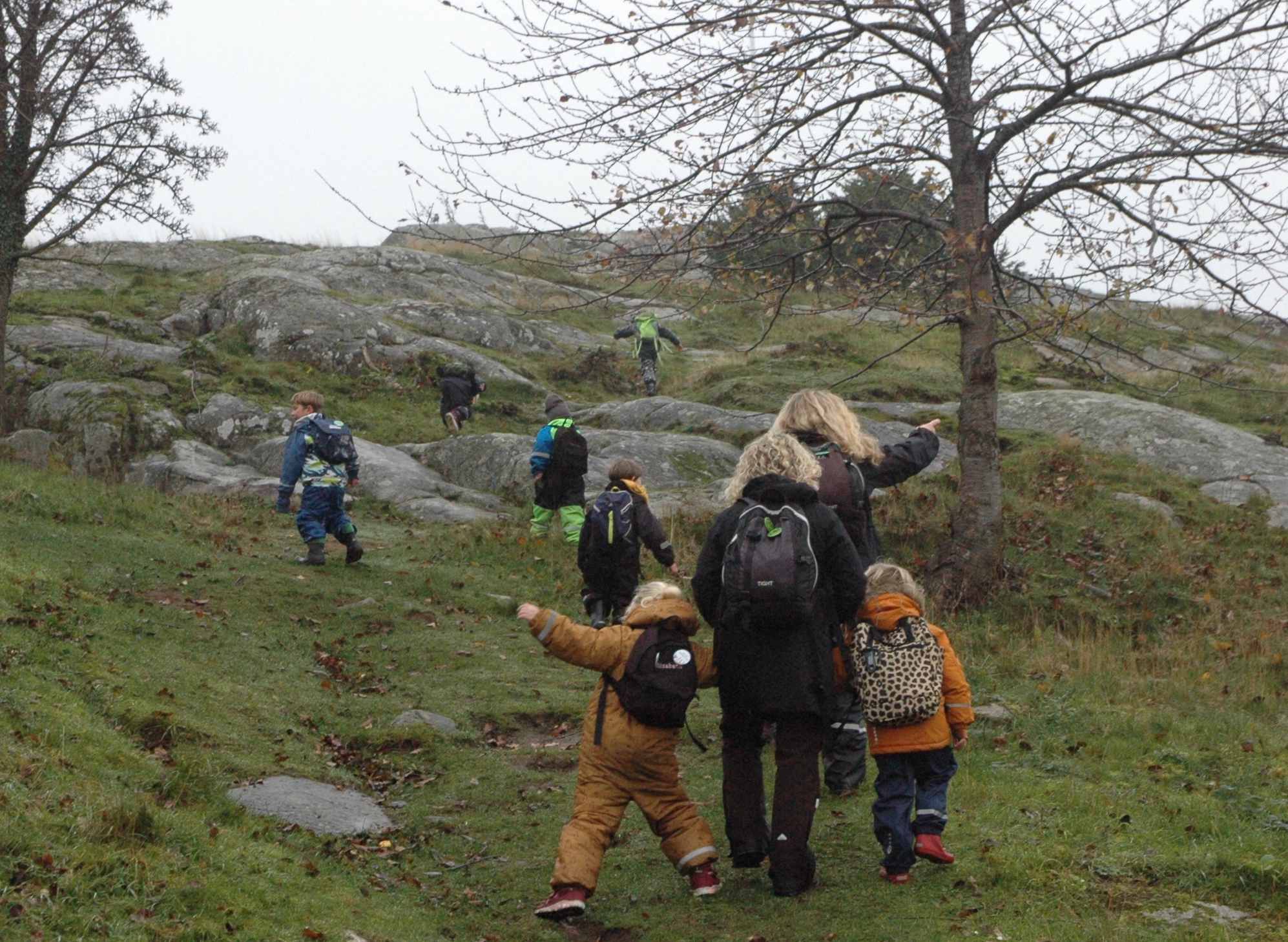 Børn i naturen - forside