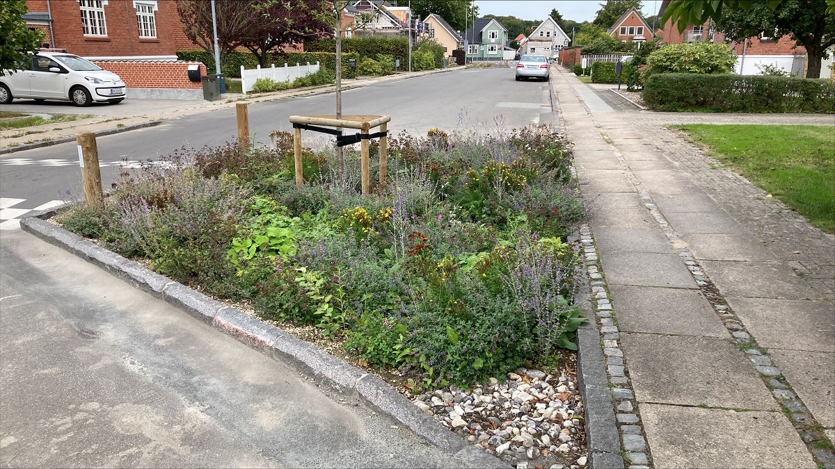 Rikke Dyre Jensen - Bøgedals alle