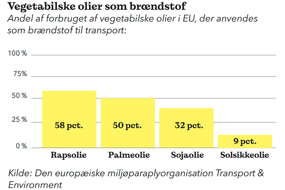 planteolie brændstof transport raps palmeolie sojaolie solsikkeolie