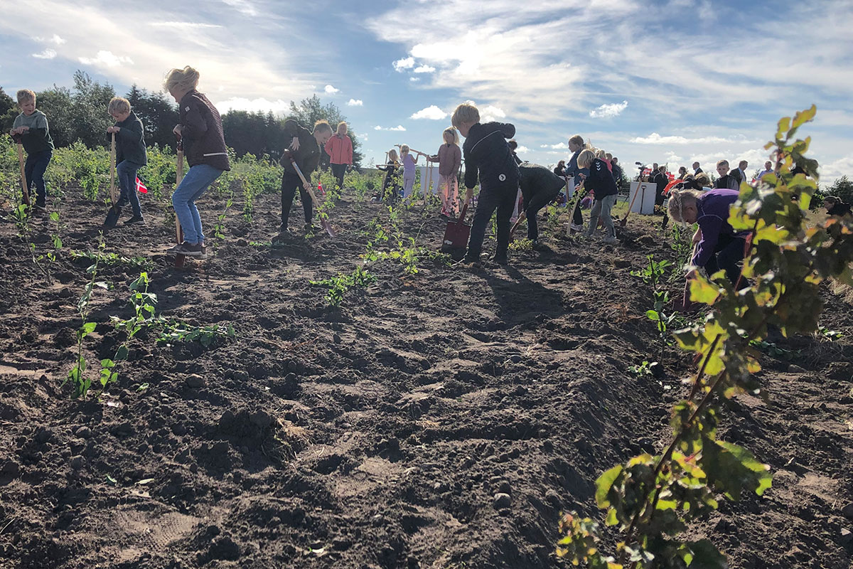 skovrejsning grundvand aalborg biodiversitet