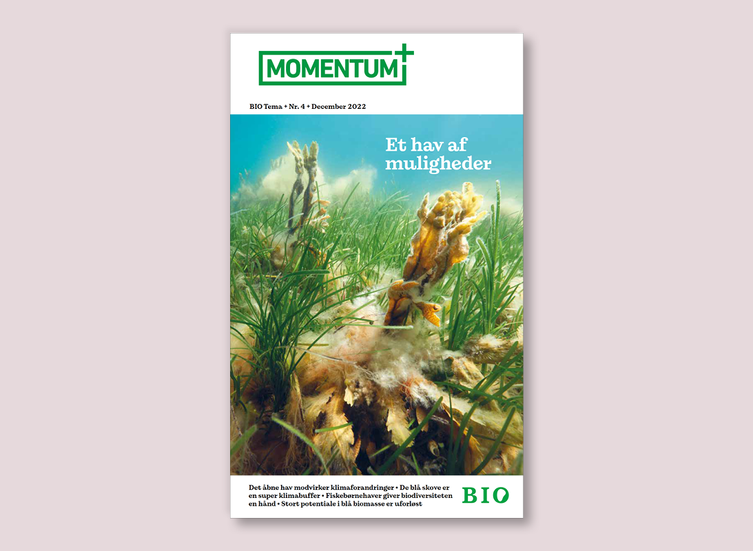 Momentumforside 4 2022