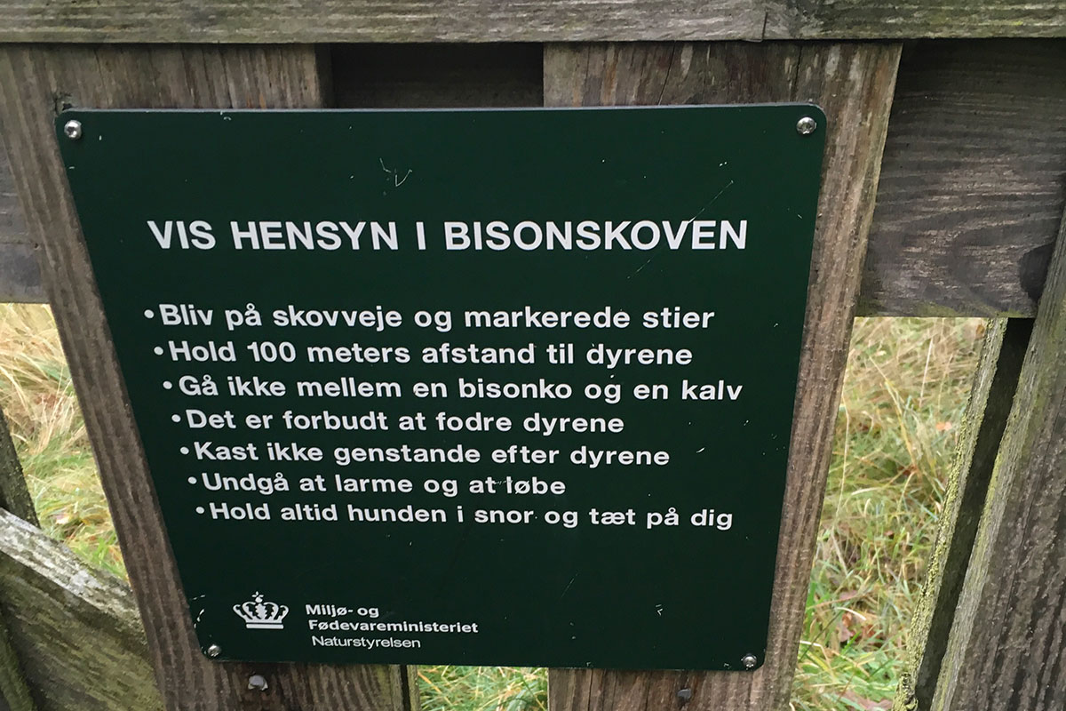 naturnationalpark bison