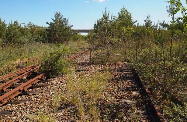 Kampen for biodiversitet kan begynde de mest overraskende steder - DM Bio