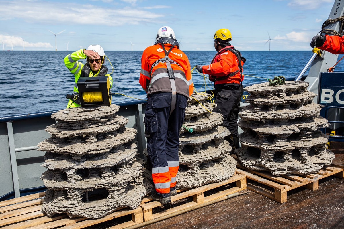 3D-printede kunstige rev