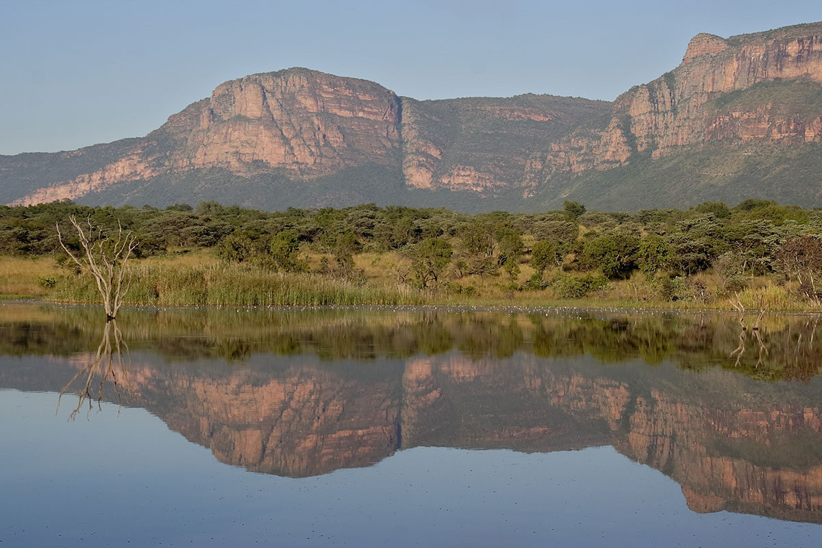 Sydafrika nationalpark biodiversitet