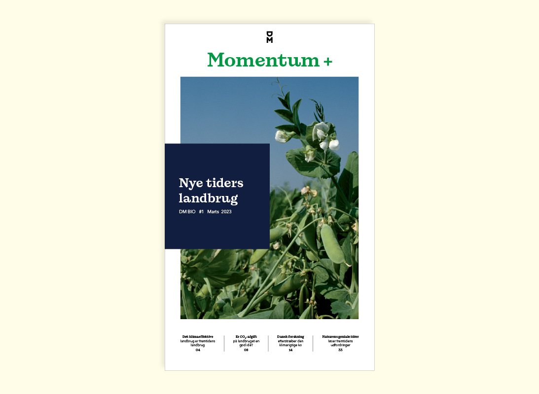 Momentum+ forside 01 2023