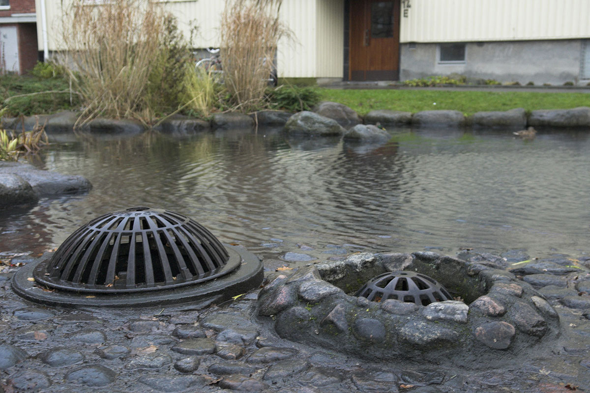 Augustenborg en forstad til Malmø hvor man har forsøgt at forberede sig på klimaændringerne, som følge af global opvarmning forårsaget af udledning af co2 (kuldioxid). I byen har man lavet en række tiltag for eksempel åbne kloarker til afledning af regnvand, græs på tagene så regnvandet kan tilbageholdes, solvarmanlæg, regnvandsbassiner, bassiner, vandhuller, søer, sø, vand