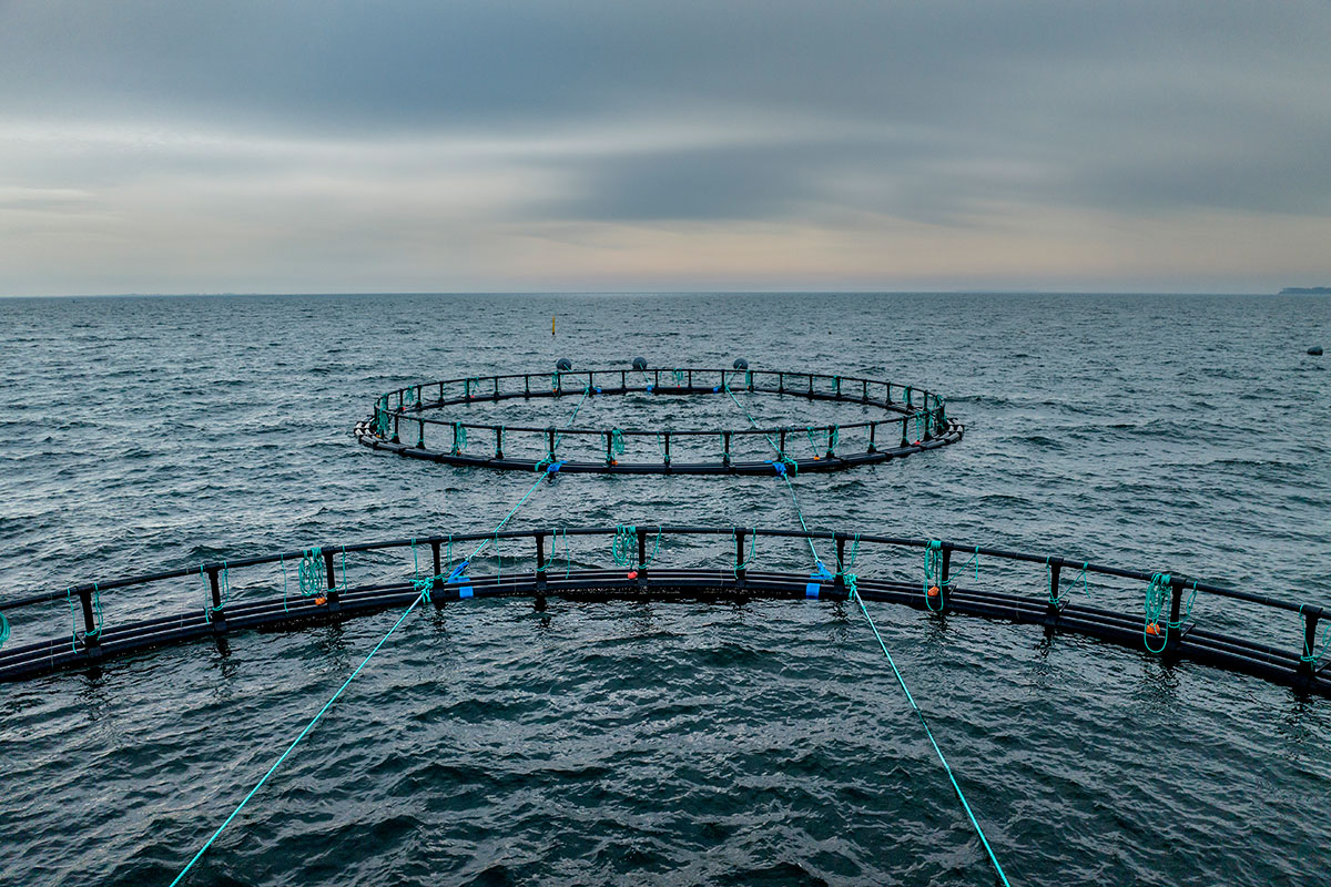 Basse 12X8 20240327 145211 1 5272X3515ma