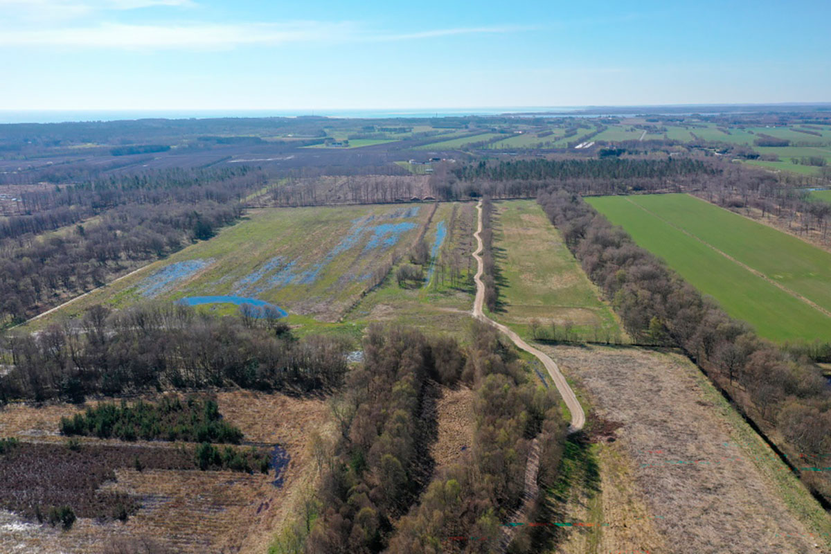 Hals Mose Foto Niels Nørgaard Nielsen 12X8