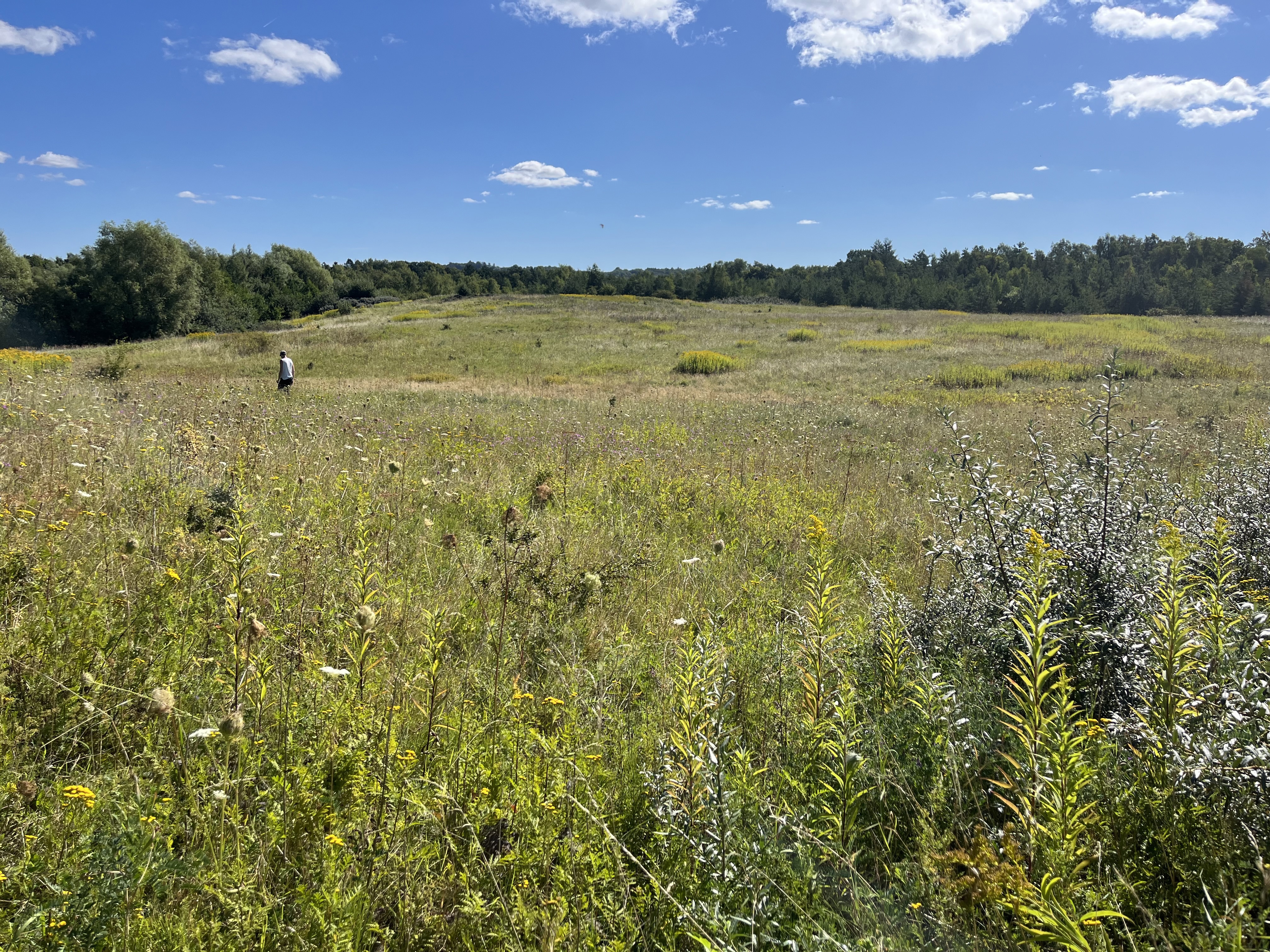 Kalundborgmotorvej Overdrev