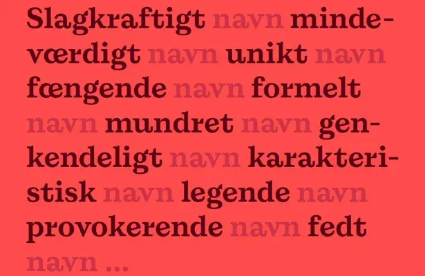 Guide Om Det Perfekt Navn