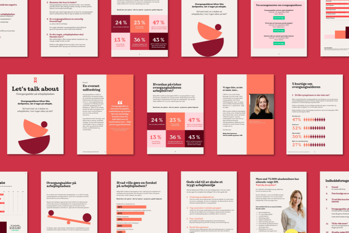 Coverbillede Lønguide 2024