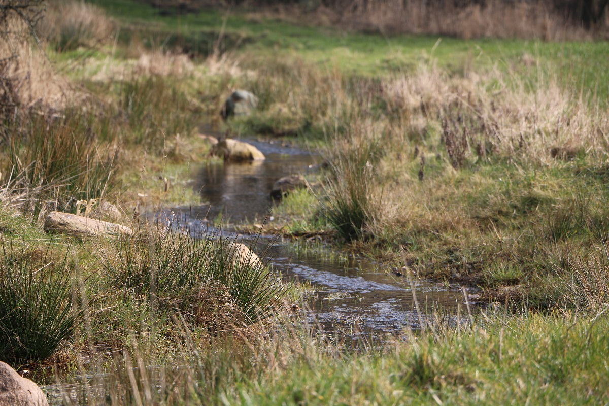 Forvandling af Kragebæk Å 3