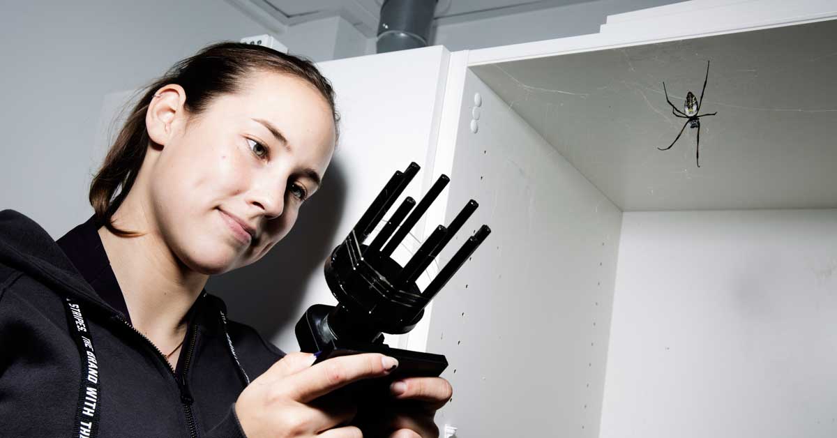 IrinaIachina1200x628