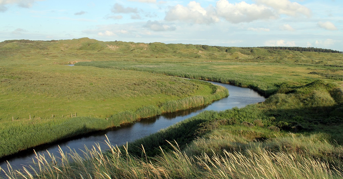 VådområderFACEBOOK